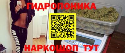 гашик Дубна