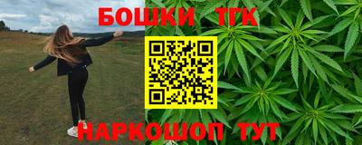 гашик Дубна