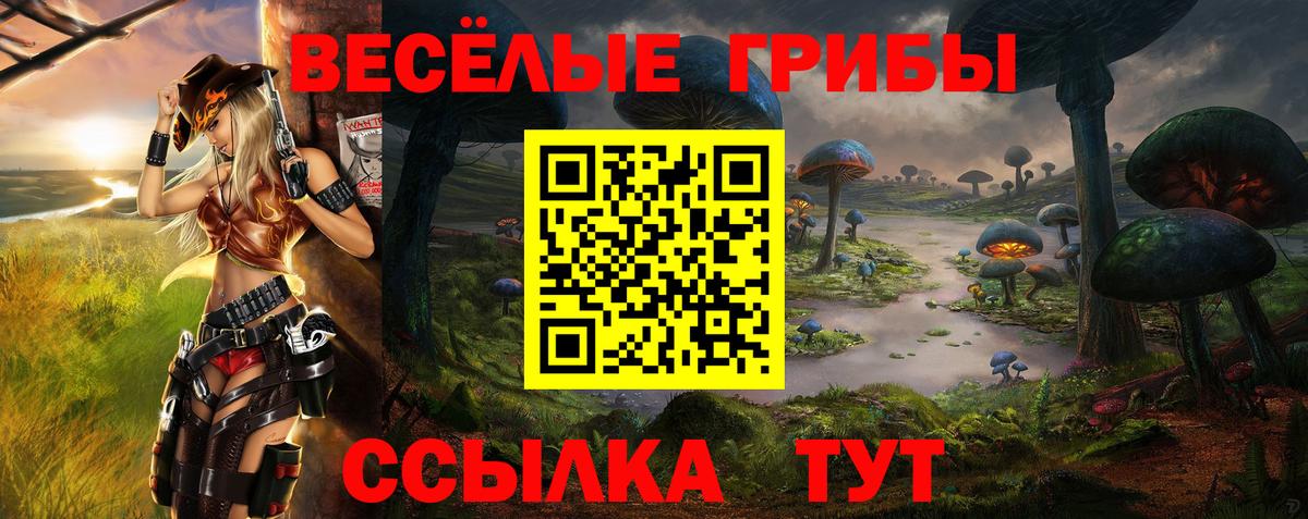 Миасс  Галлюциногенные грибы Psilocybe  Вход с VPN 